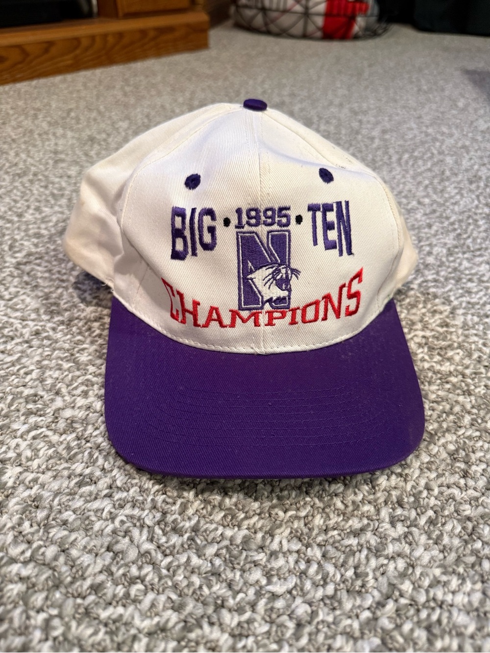 Vintage 1995 Big Ten Football Champions NCAA Nothwestern University Hat